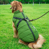 Image of Dog Harness Coat