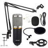 Image of Audio7 Professional Broadcasting Studio Recording Condenser Microphone - AfkaBoutiquePOA71439587666967505533