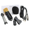 Image of Professional Broadcasting Studio Recording Condenser Microphone